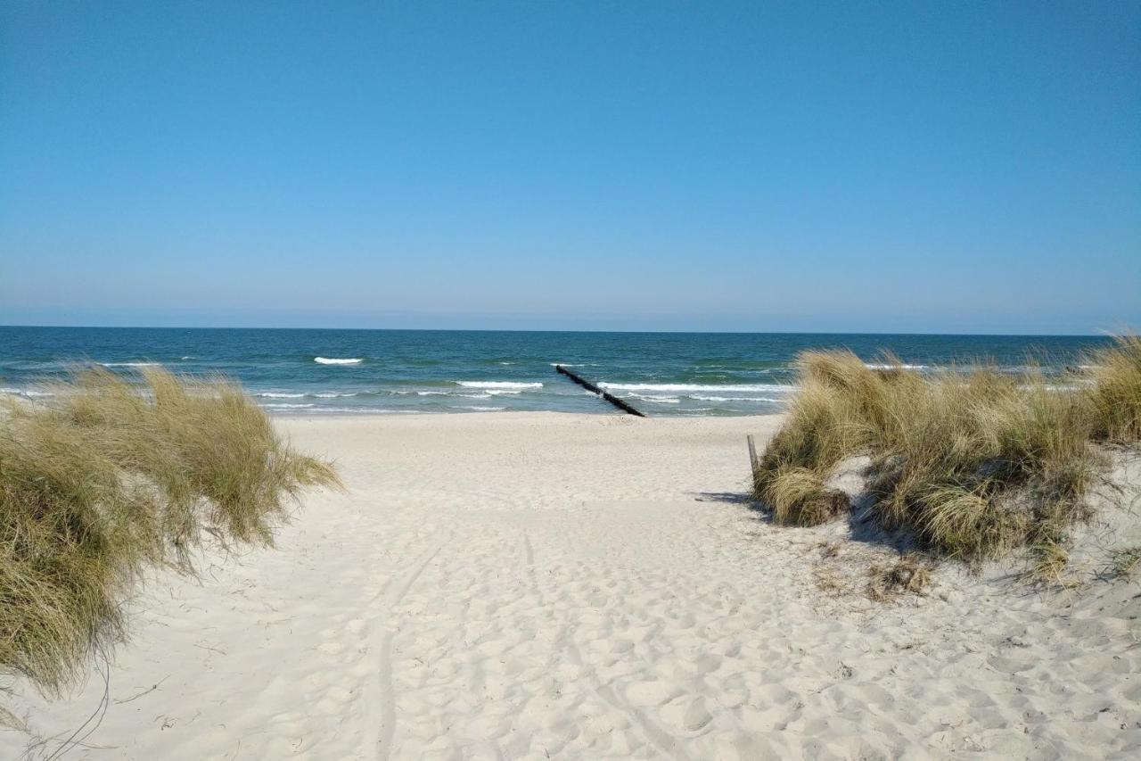 Suennenkringel 68 Appartement 1 Zingst Bagian luar foto